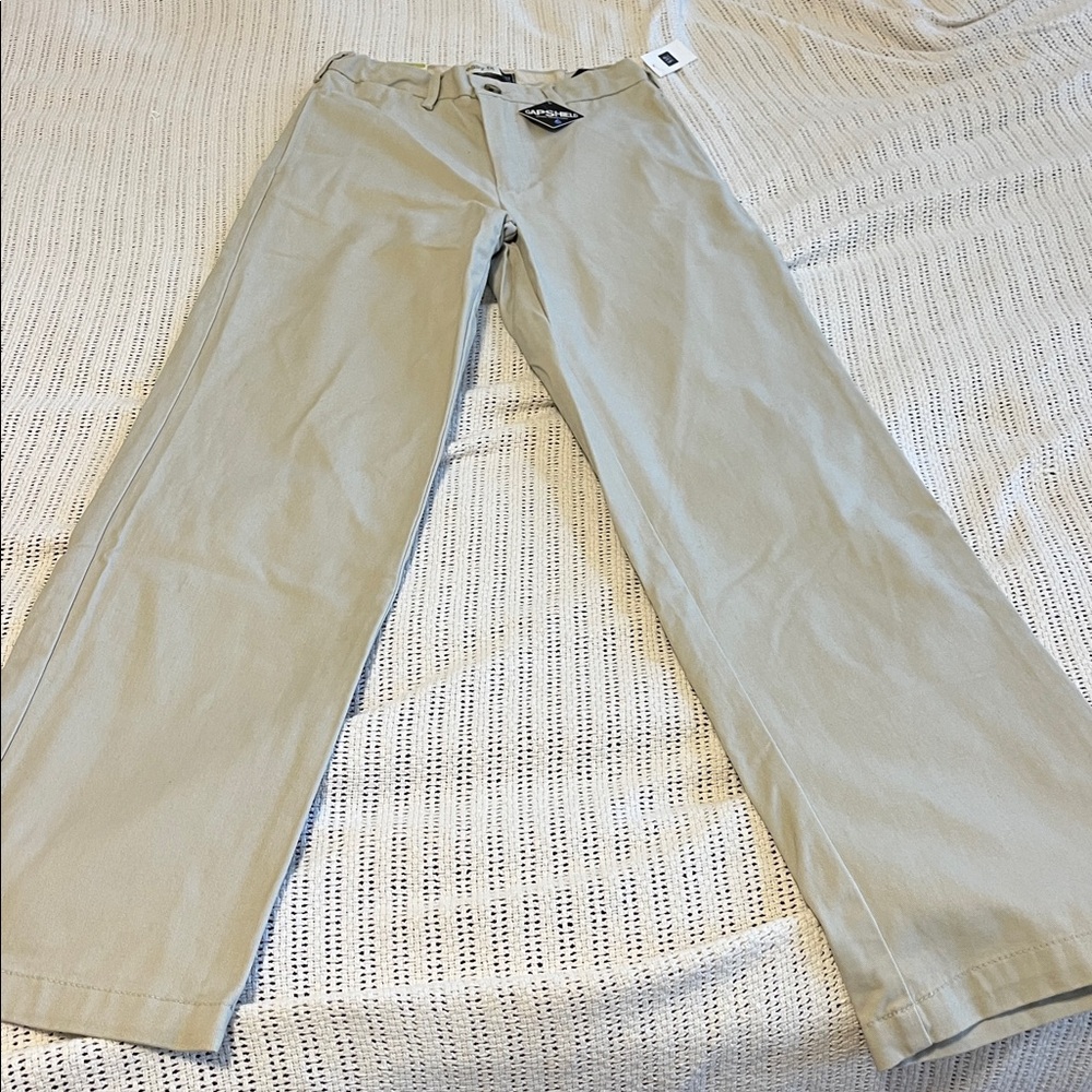GAP Easy Fit Slim Pants in Beige